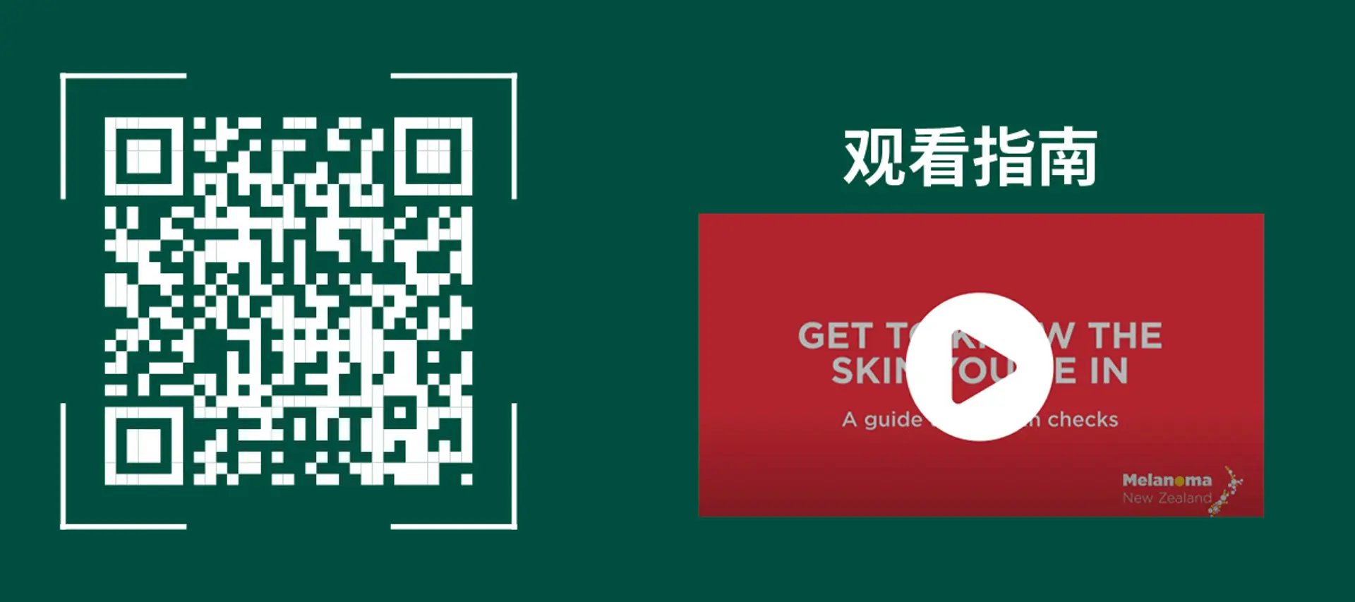 观看指南